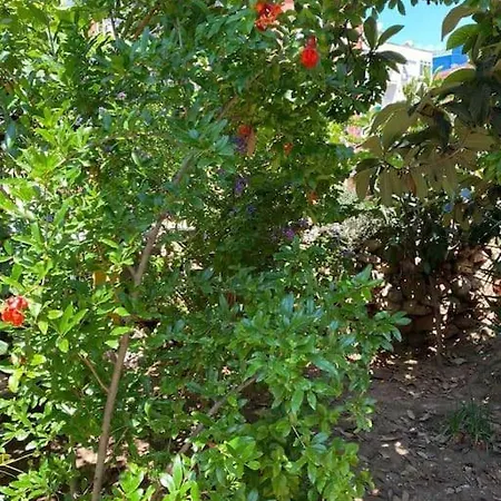 公寓 3 Odali Ful Esyali Antalya'nin Kalbinde Ev *
