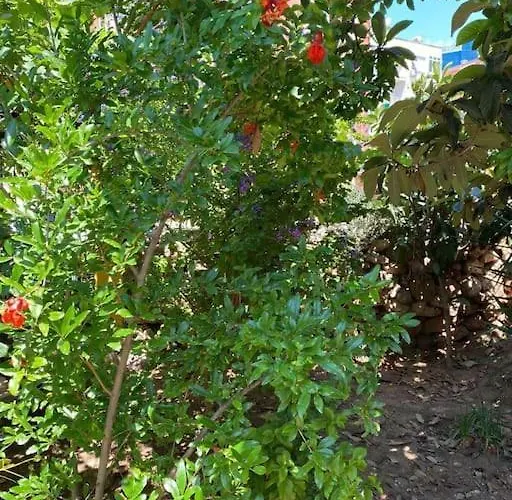 Appartement 3 Odali Ful Esyali Antalya'nin Kalbinde Ev *